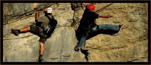 graphix-ref-web-dawolks-002  