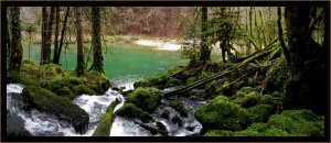 graphix-ref-web-dawolks-004  