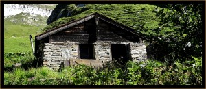 graphix-ref-web-dawolks-007  