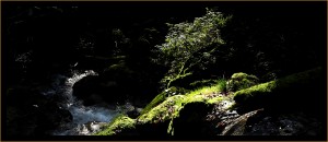 graphix-ref-web-dawolks-009  