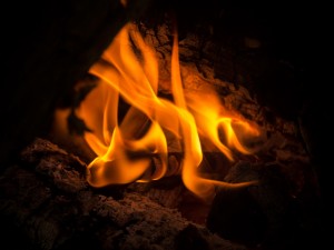 lalilalu-header-angebot-001  