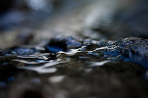 lalilalu-header-kontakt-001  
